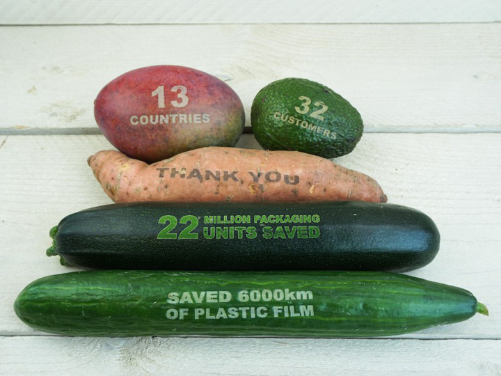 CO2 用于新鮮水果雕刻項目的激光打標機